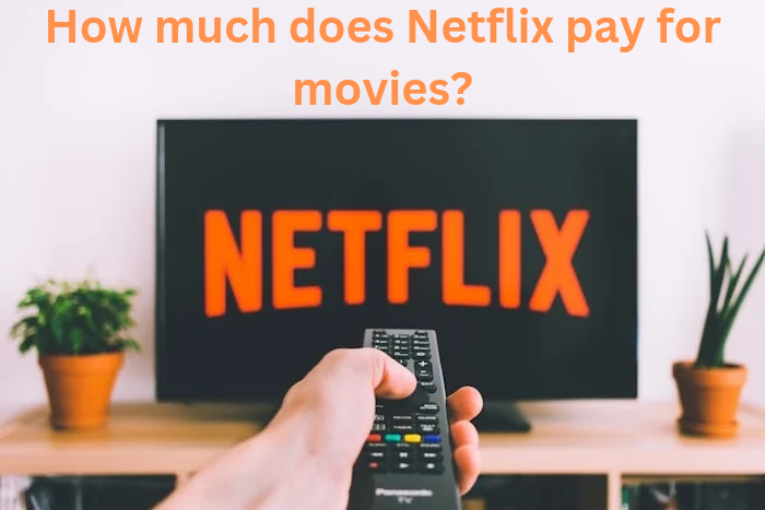 How much does Netflix pay for movies